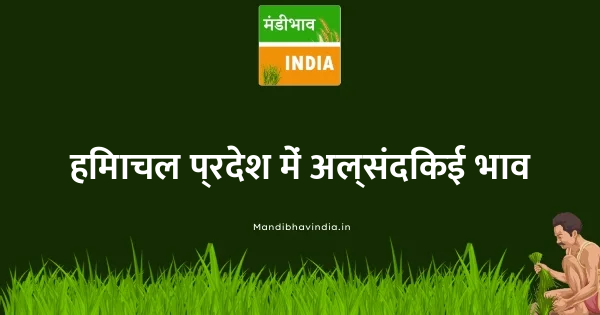 Alsandikai भाव